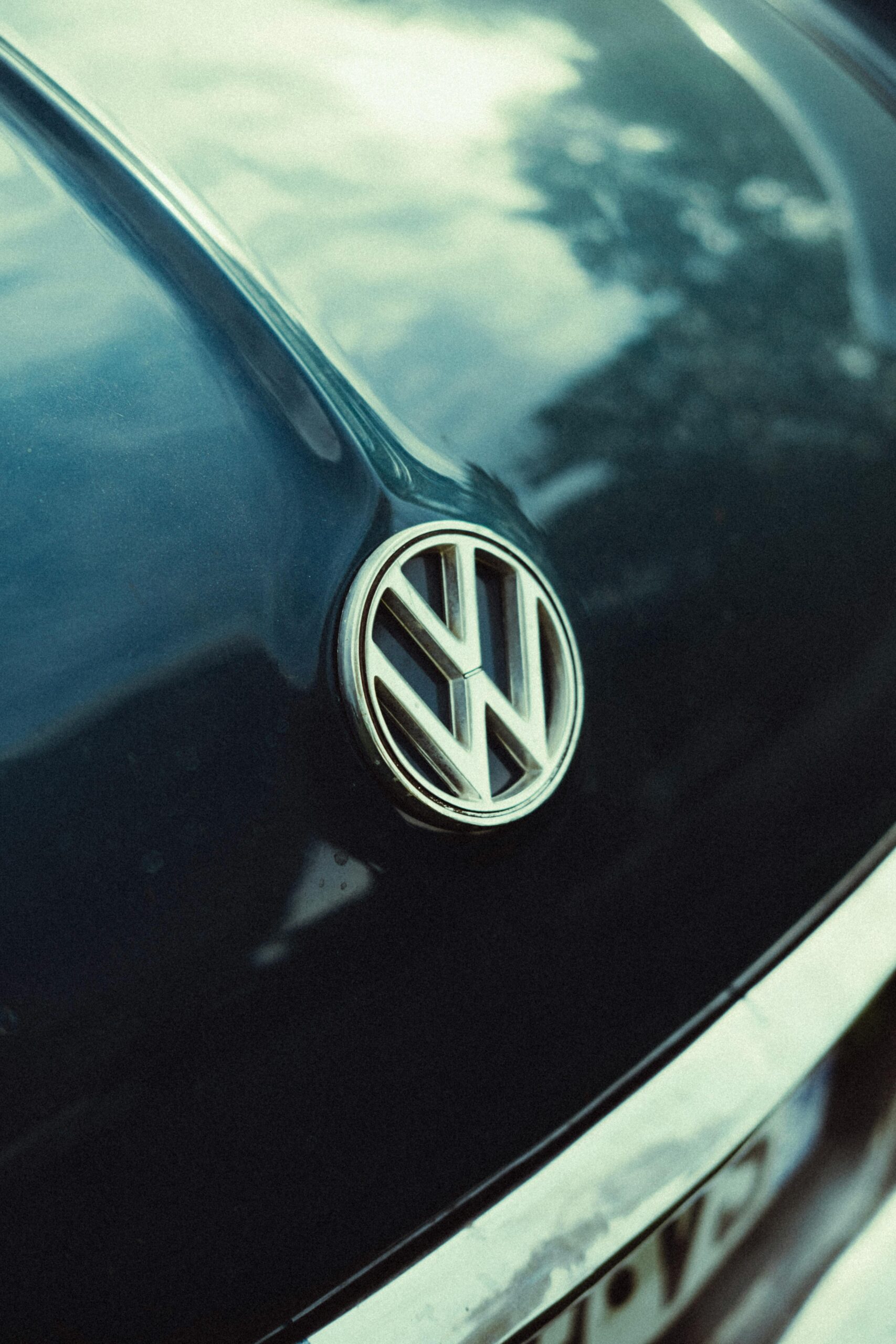 pexels-matreding-11912123